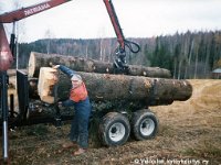 Ponkkala(1)  Antero Ponkkala (s. 1946) puunajossa Suokkaan metsässä Korpilahden Painaalla, kourakuormain siirtää tukkia peräkärryyn.
