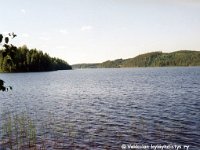 Ponkkala(24)  Vekkulan Saarijärvi Ponkkalan rannasta päin