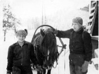 Image5  14-vuotias Voitto Nieminen (s. 16.10.1945) isänsä Heikki Niemisen (16.6.1910 - 21.4.1967) ja Lahja-hevosen kanssa koivun ajossa Rossin pihassa. (Siis Anna ja Matti Rossin pihassa talon nimi on myös Ranta)