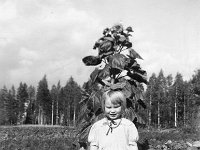 Laitinen(33)  Marja-Liisa Laitinen