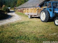 lamminmki(64)
