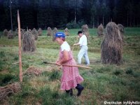 lamminmki(67)  heinäpellolla edessä Vieno Salonen