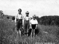 Pitk(75)  Veljekset Mikko ja Erkki Hakanen sekä heidän serkkunsa Veikko Lehtinen  (s. 1933) seisovat niityllä.